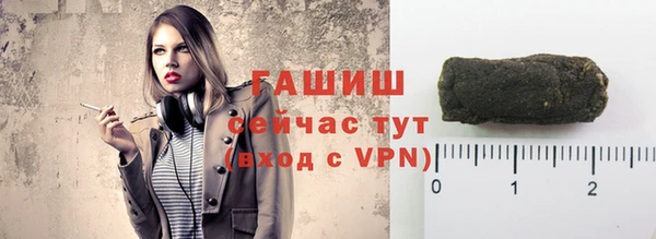 индика Алзамай