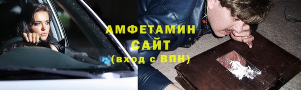 индика Алзамай