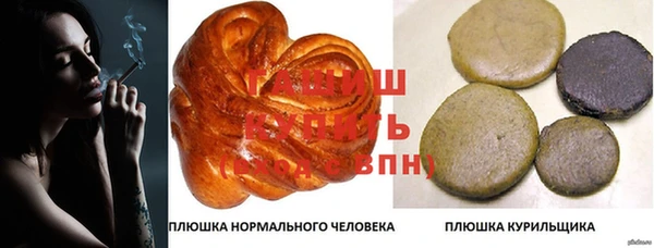 индика Алзамай