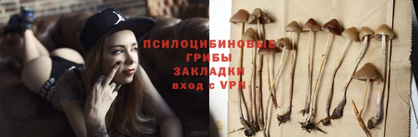 прущие крисы Алексин