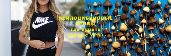 прущие крисы Алексин