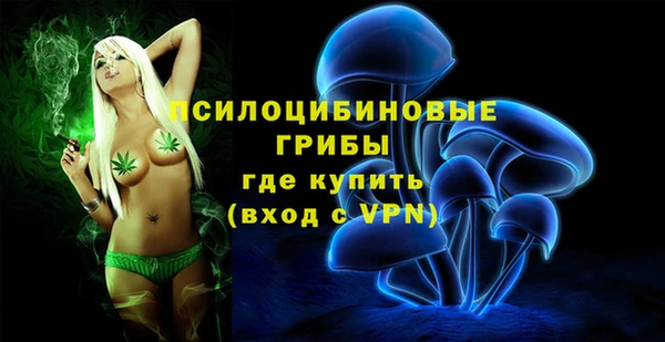дурь Алексеевка