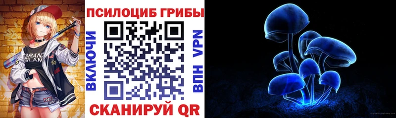 Галлюциногенные грибы мухоморы  мега онион  Старая Русса  купить  цена 